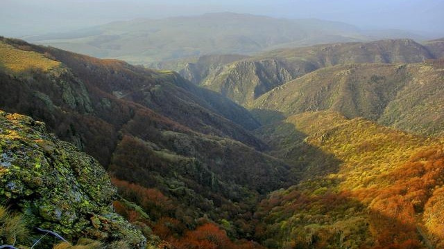 Вековните букови гори в "Централен Балкан" в списъка на ЮНЕСКО 1 448d9502a6a64547f95149e29c778f40