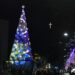 Бляскавите коледни елхи в градовете у нас (снимки)