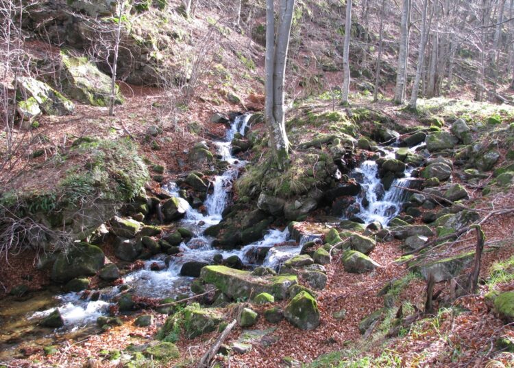 10 екопътеки към красивата планина над село Чупрене 1 4uprene Balkan 1