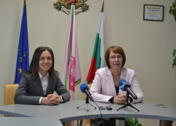 Казанлък дава ваучер за 500 лева за памперси за бебе