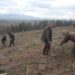 70 дка нова гора залесяват край яз. „Тича“ 8 70 дка нова гора залесяват край яз. „Тича“