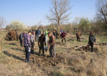 Залесиха 2 дка с тополи край шуменско