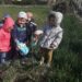 Засадиха дръвчета около приюта за животни в Шумен 8 Засадиха дръвчета около приюта за животни в Шумен