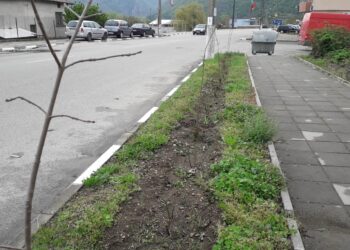 Садят дървета и рози в евроселото Черниче