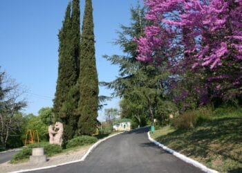 Обвиняват хулигани, вилнели в зоопарка в Стара Загора