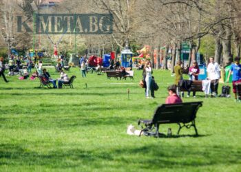Слънчево и топло начало на седмицата