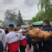 Чевермета и каба гайди водят туристи в Златоград (Снимки)