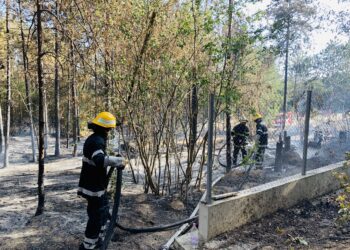 Доброволци демонстрират огнеборски умения във Варна