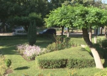 Пловдивски пенсионер превърна междублокова градинка в оазис