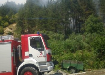 Голям пожар в Петричко, вдигнати са по тревога огнеборци, горски и доброволци