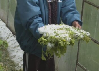 40 см лед покри Змейово