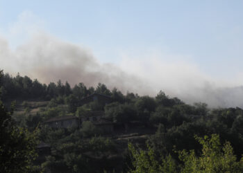Пожарът край Ардино е локализиран