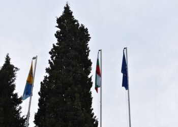 Асеновград посреща празника си с 80 нови знамена
