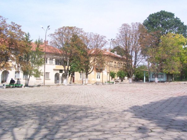 Обновяват площада на село Бойница