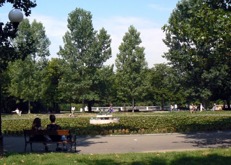 Borisova garden lily lake 1