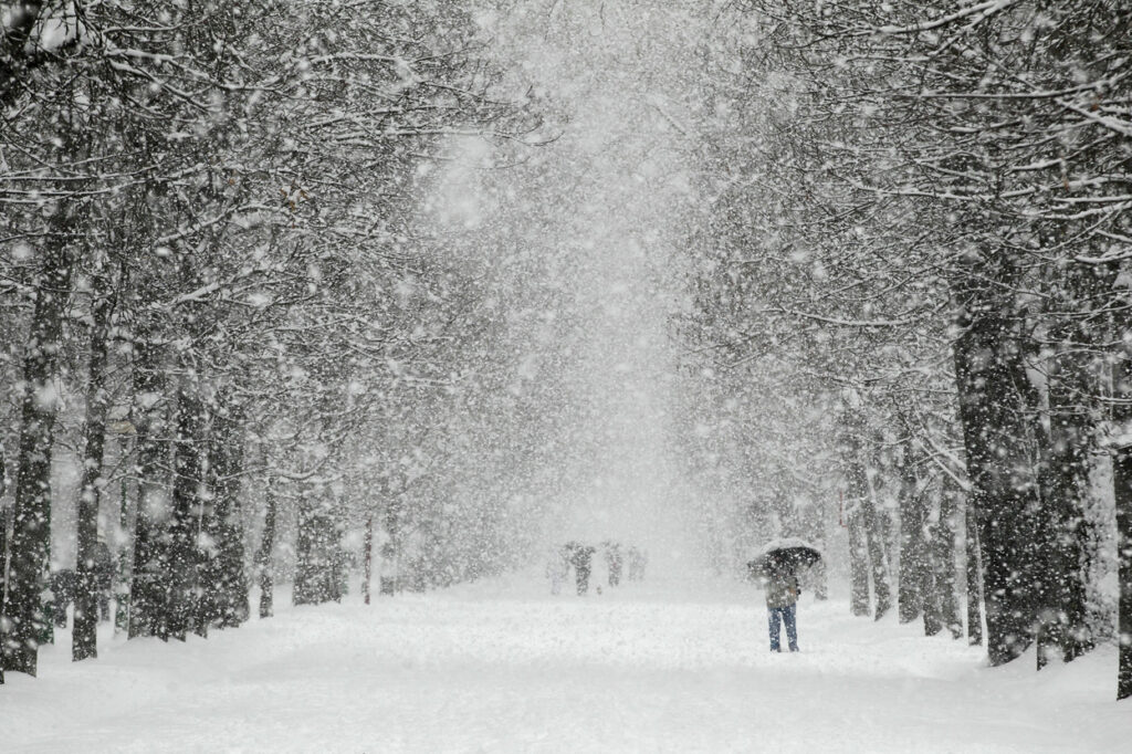 COLD 7