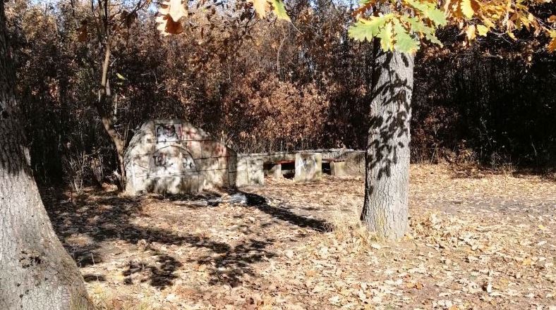 Лесопаркът в Кубрат ще бъде изцяло обновен