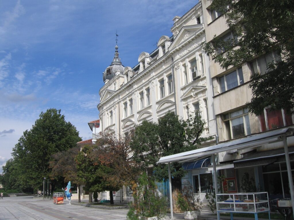 Centar Vidin