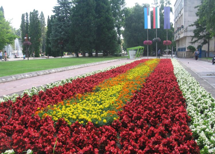 Cveten kilim Montana 1 1