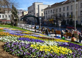 Общината помага на търновци да си направят блокови градини