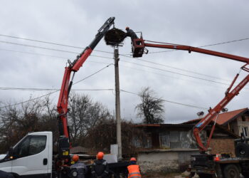 ЧЕЗ монтира 533 платформи за щъркелови гнезда