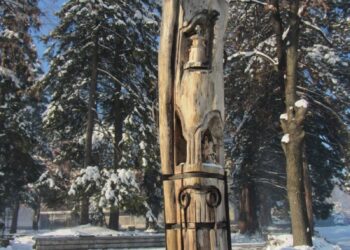 Дървото на живота от Берковица влиза в учебниците по литература