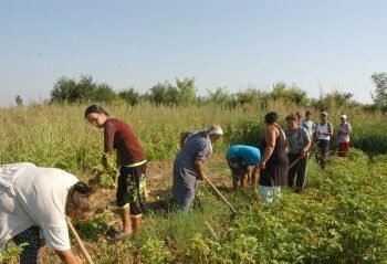 Не пипат социалните помощи на безработни, ако се трудят на полето