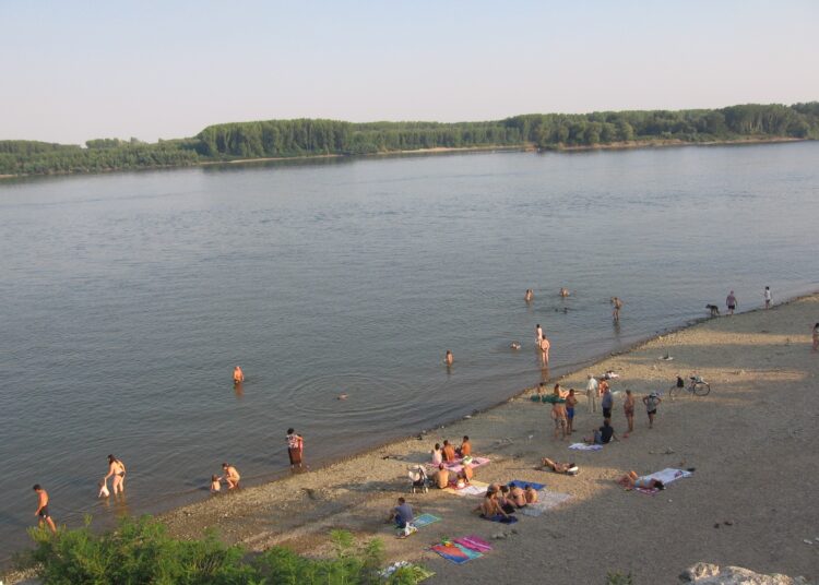 Dunav plaj
