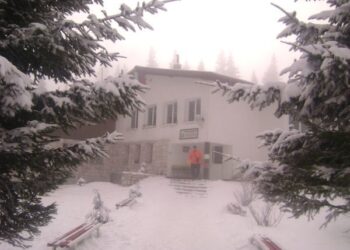 Хижари под Ком: Добри хора, помогнете!