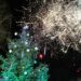 В Тетевен грейна Коледната елха (СНИМКИ) 9 В Тетевен грейна Коледната елха (СНИМКИ)
