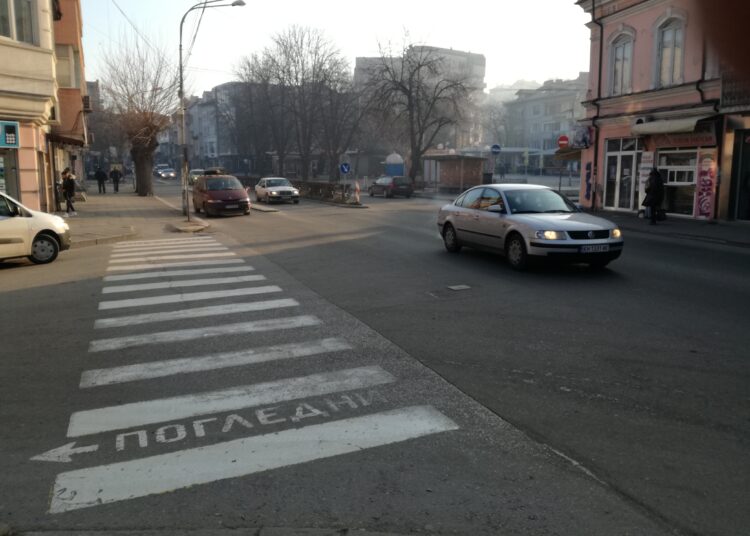 Искат всички зебри в София да са осветени 1 IMG 20180127 092021 1