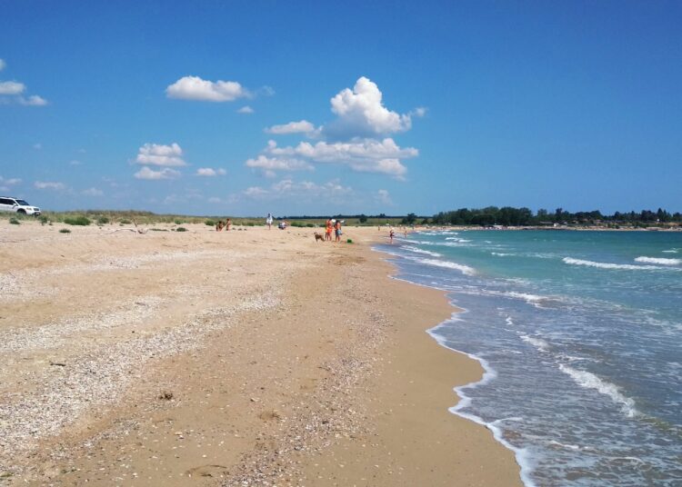 IMG 20190726 074319 1