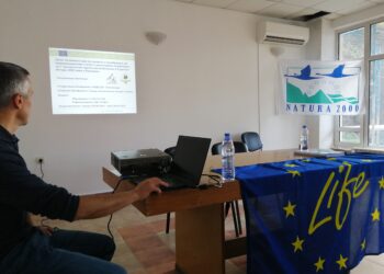 Горски залесяват над 650 дка увредени гори в зони от НАТУРА 2000