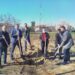Депутати и кметове засадиха гора край село 8 Депутати и кметове засадиха гора край село