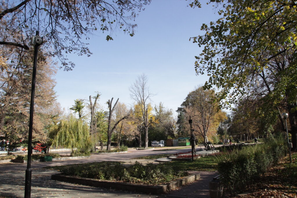 Нови камери в Градската градина на Шумен 4 IMG 2535 1