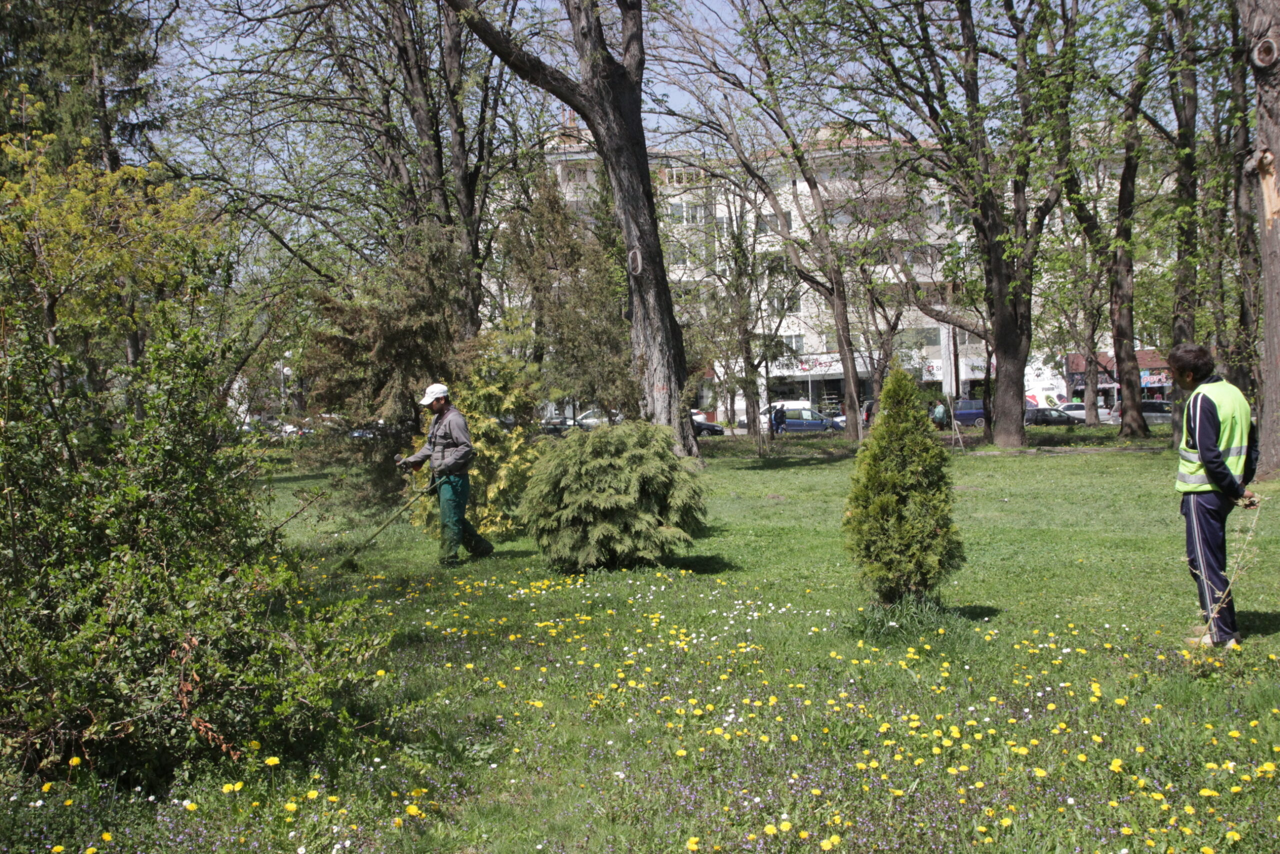 Косят тревата и пръскат срещу кърлежи в Шумен