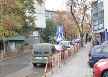 Заралии не искат коли върху тротоарите