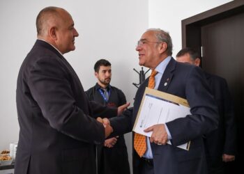 Борисов и Гурия обсъдиха присъединяването на България към ОИСР