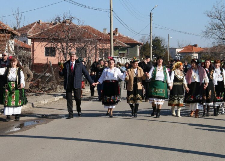 Kmet Vidin Pokraina