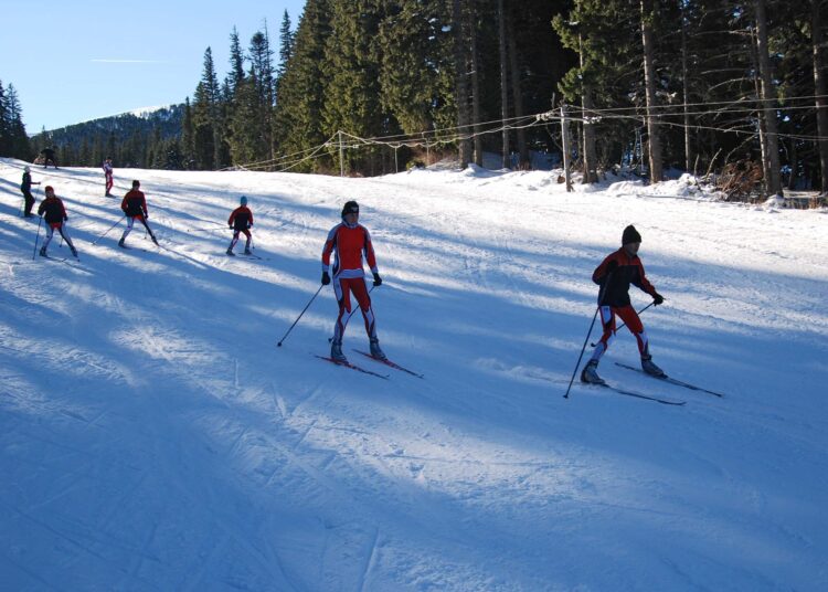 Kom skiori 1