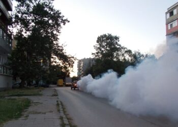 Само вечер Видин воюва с комарите