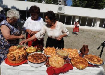 Кула опита 23 микса от билки