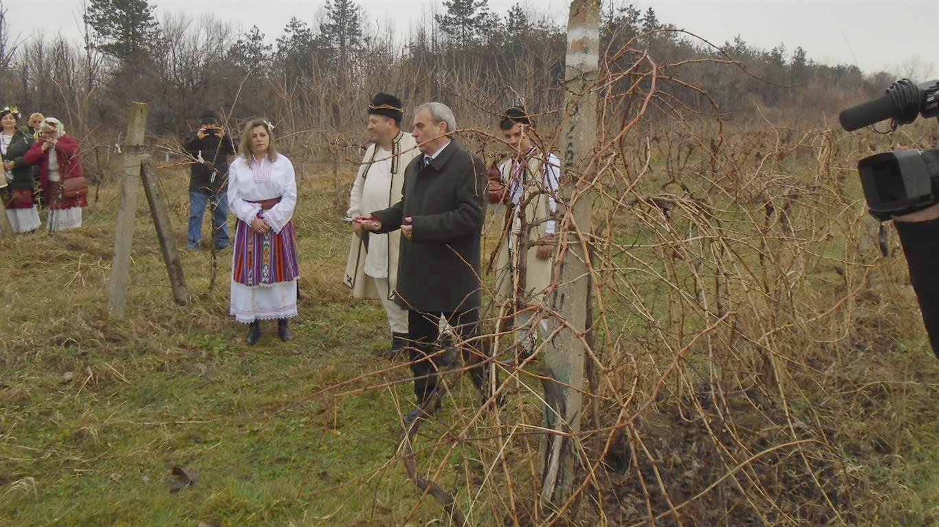 В Северозапада смятат Трифон Зарезан за наследник на Дионисий