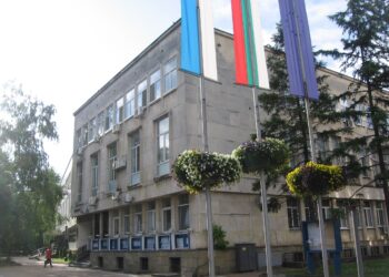 Петима излизат срещу Златко Живков за кмет на Монтана