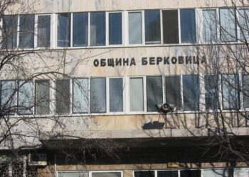 Общината в Берковица се освежи с млади кадри