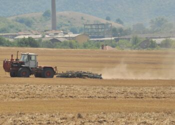 Сеитбата и дълбоката оран във Видинско са в разгара си