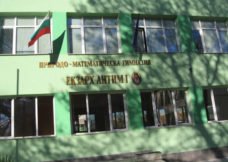 PMG 1 1