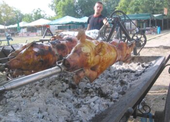Печени прасета са кулинарната атракция на видинския панаир