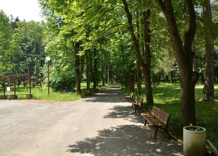Park 019
