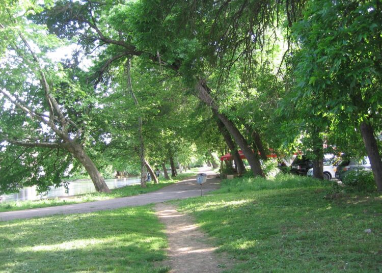 Park Montanezium 2 1
